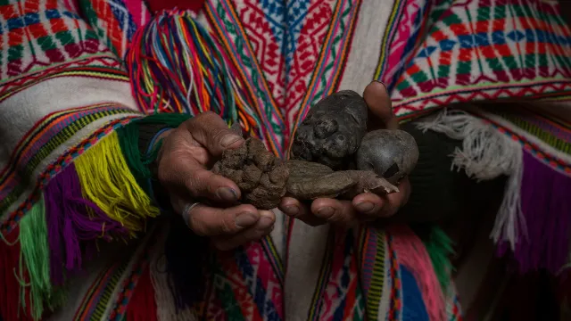 Indigener Farmer, Palccoyo