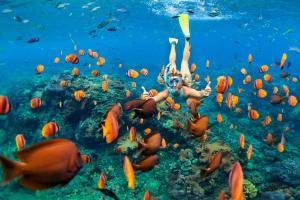 Voyages last minute
