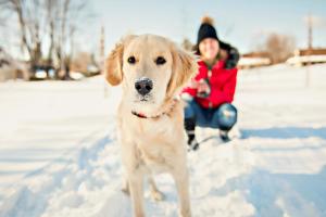 Ferien mit Hund | ALDI SUISSE TOURS