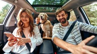 Ferien mit Hund | ALDI SUISSE TOURS