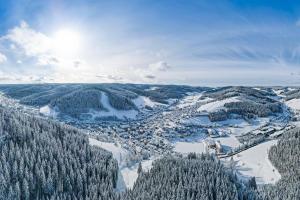Ferien im Schwarzwald | ALDI SUISSE TOURS