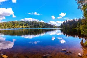 Ferien im Schwarzwald | ALDI SUISSE TOURS