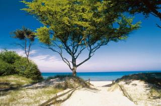 Strand an der Halbinsel Fischland Darß-Zingst | ALDI SUISSE TOURS