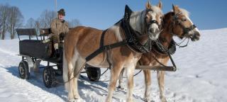 © mma23 - Fotolia.com