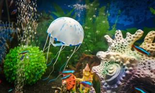 © Eurotours Toskana Italien ALDI SUISSE TOURS