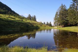 Reisetester August 2019 D.D. und R.C.