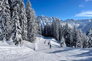 Ferien in Vorarlberg | HOFER ALDI SUISSE TOURS