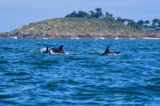 © Eurotours Ferien in der Bretagne ALDI SUISSE TOURS