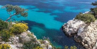 Ferien in der Provence ALDI SUISSE TOURS