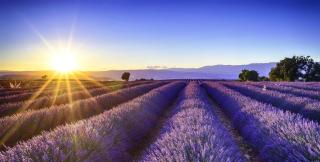 Ferien in der Provence ALDI SUISSE TOURS