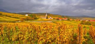 Frankreich Charmantes Elsass ALDI SUISSE TOURS