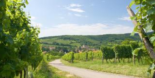 Frankreich Charmantes Elsass ALDI SUISSE TOURS