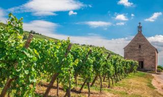 Frankreich Charmantes Elsass ALDI SUISSE TOURS