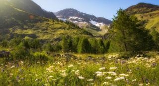 Wallis Saas-Fee Schweiz ALDI SUISSE TOURS