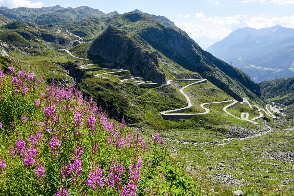 Verwunderlich Alpenpasse Der Schweiz Bild
