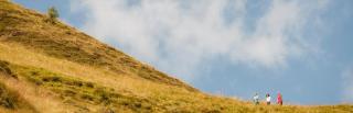 © Zillertal Tourismus GmbH, Marco Rossi Wandern Zillertal ALDI SUISSE TOURS