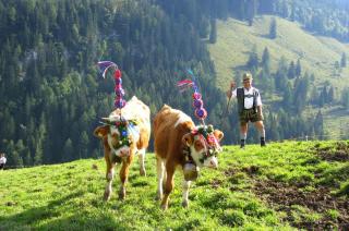 © Tourist-Information Schönau a. Königsee, Foto Andreas Rott Almabtrieb Schönau am Königssee ALDI SUISSE TOURS