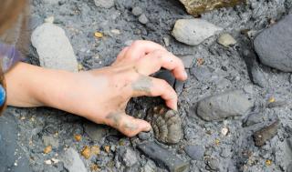 Ferien mit Kindern in Serfaus-Fiss-Ladis ALDI SUISSE TOURS