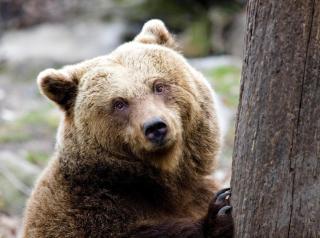 Die besten Ausflugstipps für Kinder ALDI SUISSE TOURS