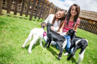 Die besten Ausflugstipps für Kinder ALDI SUISSE TOURS