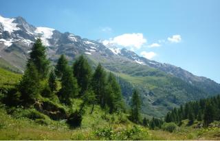 Hotel Bärgsunnu - ALDI SUISSE TOURS
