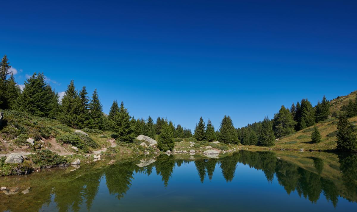 Naturpark Parc Ela | ALDI SUISSE TOURS