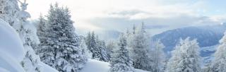 © Graubünden Ferien / Stefan Schlumpf Parc Ela ALDI SUISSE TOURS