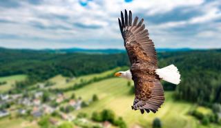 © Eurotours Adler ALDI SUISSE TOURS