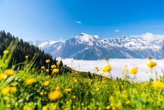 Engelberg - Titlis ALDI SUISSE TOURS
