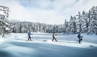 © Olympiaregion Seefeld Seefeld Winterwandern ALDI SUISSE TOURS