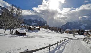 © Rolf Wegmüller Wengen Winterwandern ALDI SUISSE TOURS