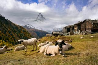 Zermatt Matterhorn ALDI SUISSE TOURS