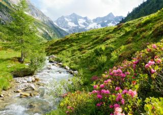 © Eurotours Top 5 Wanderregionen der Schweiz: Saastal ALDI SUISSE TOURS