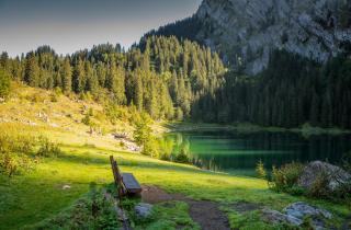 © Eurotours Hotel Brienzerburli*** & Weisses Kreuz, Brienz ALDI SUISSE TOURS