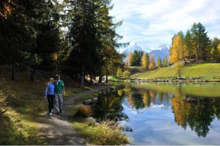 Grächen ALDI SUISSE TOURS