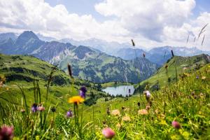 Ferien im Allgäu | ALDI SUISSE TOURS
