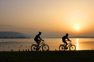 Lago di Costanza, Rive dell'Aare e Regione dei Tre Laghi - Tour in bicicletta