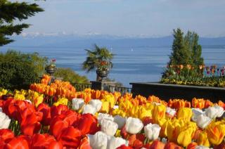 © Insel Mainau Ferien am Bodensee - ALDI SUISSE TOURS