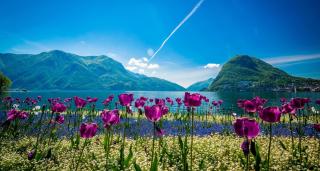 Ferien am Lago di Lugano ALDI SUISSE TOURS