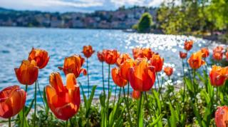 Ferien am Lago di Lugano ALDI SUISSE TOURS