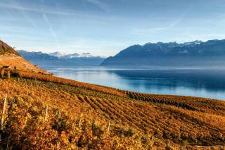 Ferien am Genfersee ALDI SUISSE TOURS