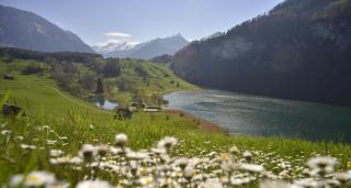 © Seelisberg Tourismus Ferien am Seelisbergsee ALDI SUISSE TOURS