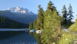 Ferien am St. Moritzersee ALDI SUISSE TOURS
