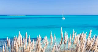 Karibik in Europa ALDI SUISSE TOURS