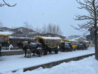 Pferdekutsche vor dem Wellnesshotel Schönruh ALDI SUISSE TOURS