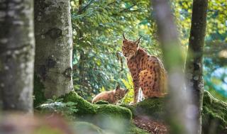 Ferien im Burgund - ALDI SUISSE TOURS