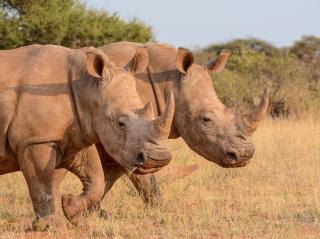 Safari ALDI SUISSE TOURS