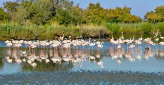 © Eurotours Wundervolles Languedoc-Roussillon ALDI SUISSE TOURS