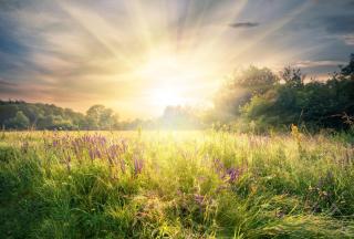 © Eurotours Wundervolles Languedoc-Roussillon ALDI SUISSE TOURS