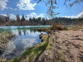 Mistery guest aprile 2022